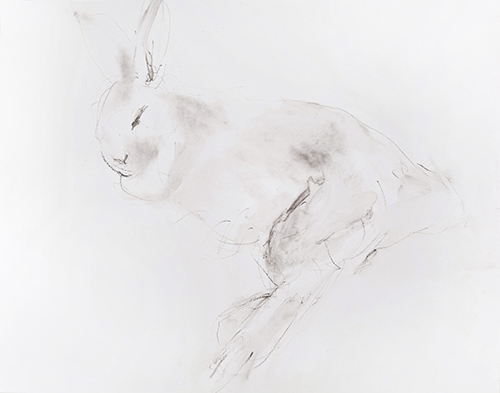 rabbit memory 4