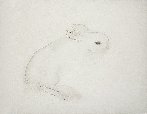 bunny study 1