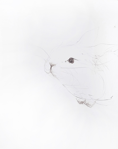 rabbit memory 10